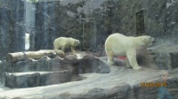 IMG_5870.jpg, 25kB